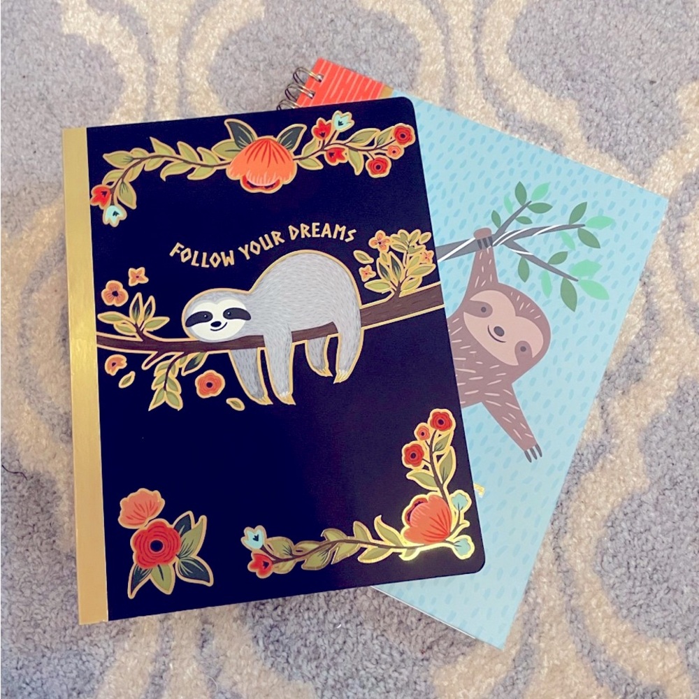 Take it Easy Sloth notebooks set